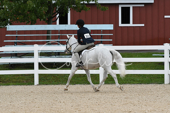 HSM_6546