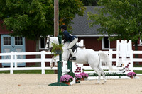 HSM_6547