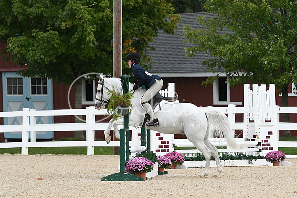 HSM_6547