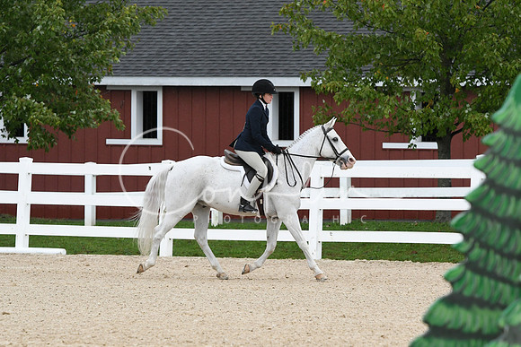 HSM_6589