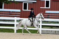 HSM_6590