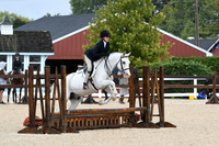 HSM_6593