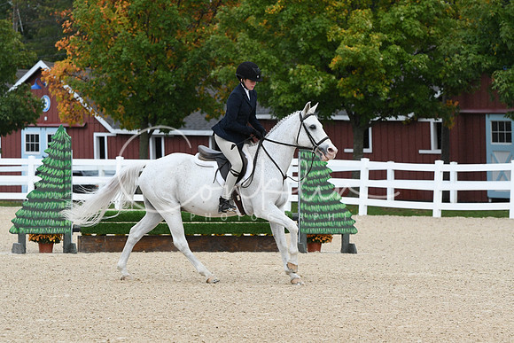 HSM_6595