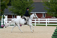 HSM_6596