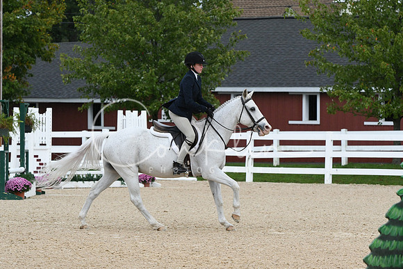 HSM_6596