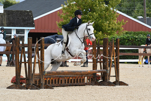HSM_6653