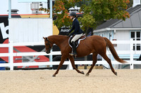 HSM_4488