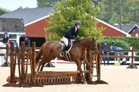 HSM_6313