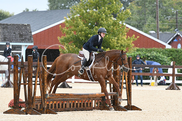 HSM_6313