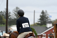 HSM_6317