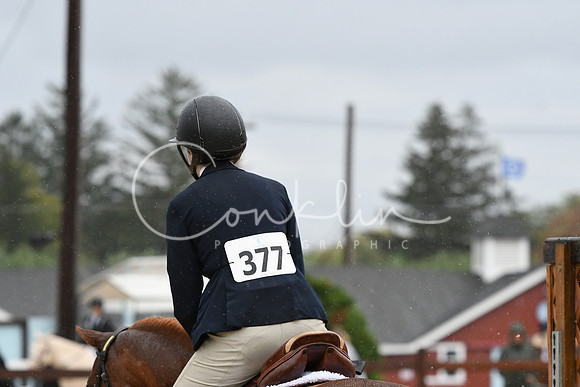 HSM_6317
