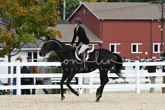 HSM_8134