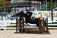 HSM_8135