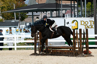 HSM_8136