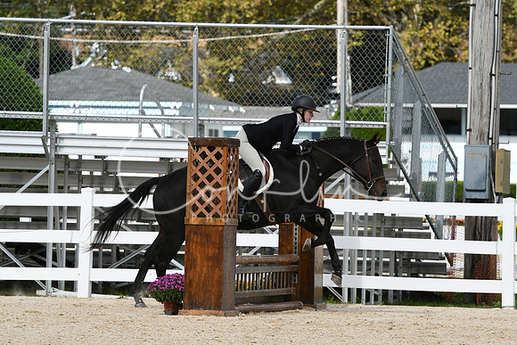 HSM_8137