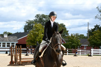HSM_8207