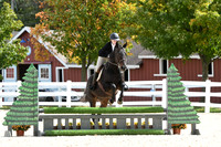 HSM_8211