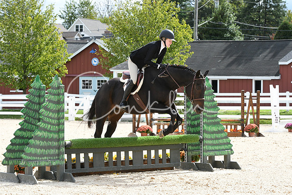 HSM_8213