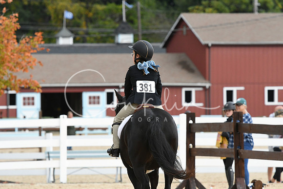 HSM_5290