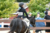 HSM_5340