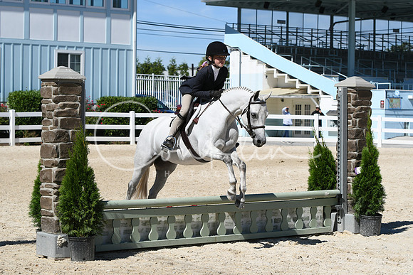 HSM_2828