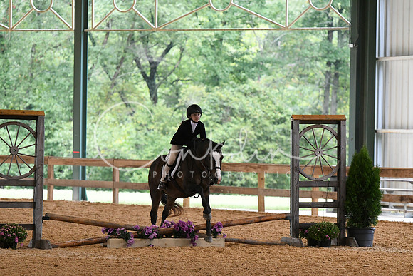 HSM_6272