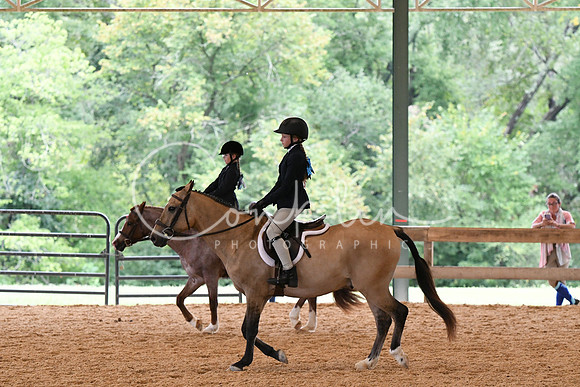 HSM_6317