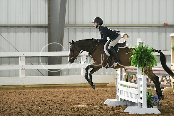 HSM_4384