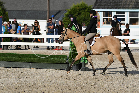 HSM_4491