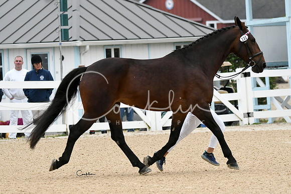 HSM_5803-1