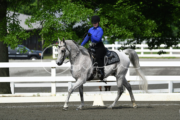 HSM_2561