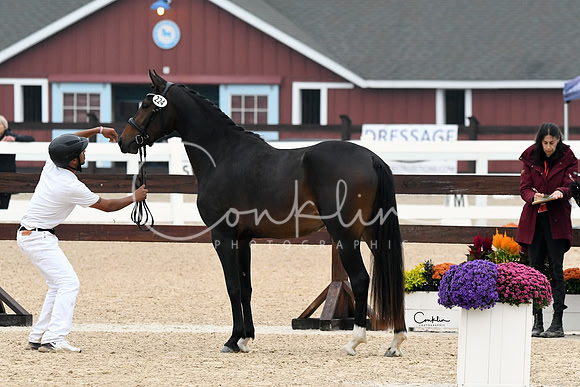 HSM_6336-1