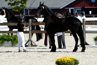 HSM_4734