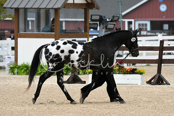 HSM_7094-1