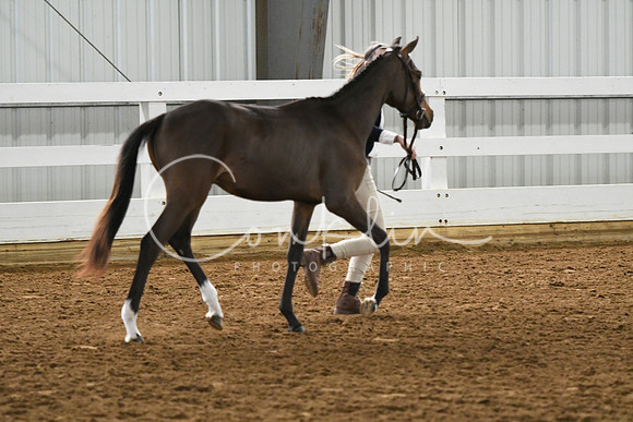 HSM_3809