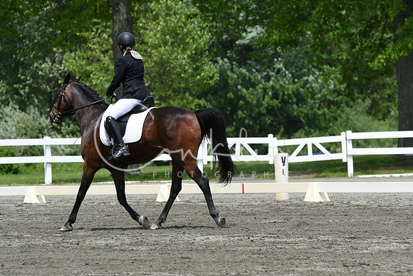 HSM_0441
