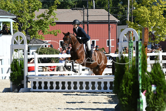 HSM_2586