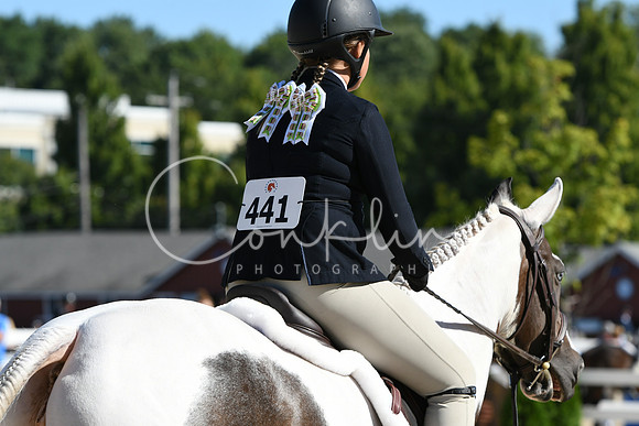 HSM_2572