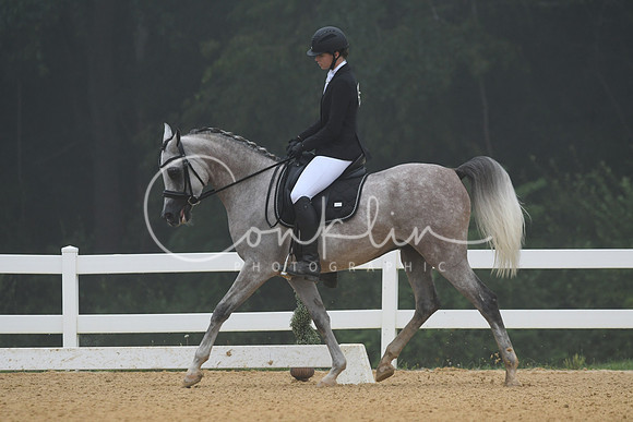 HSM_0649