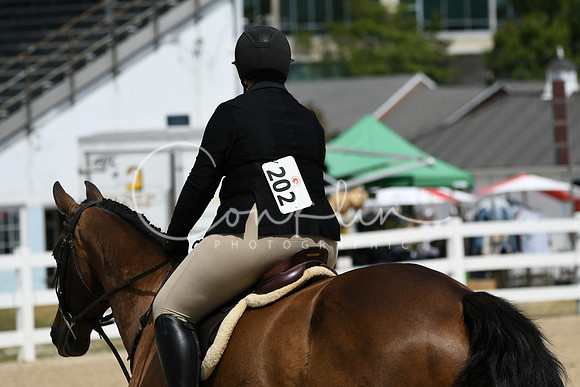 HSM_6867