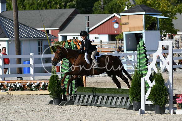 HSM_4353