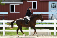 HSM_8234-1
