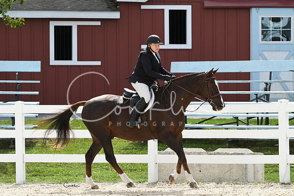 HSM_8234-1