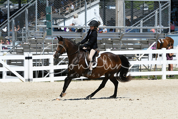 HSM_2925