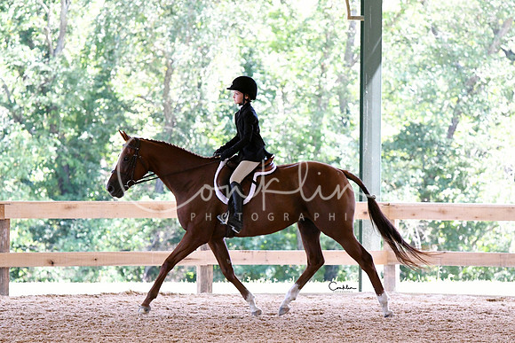HSM_2343-1