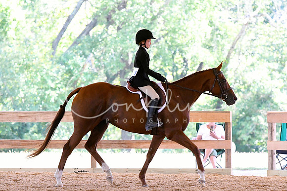 HSM_2377-1