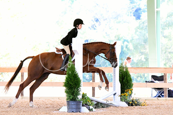 HSM_2755-1