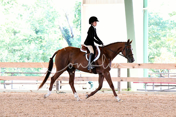 HSM_2754-1