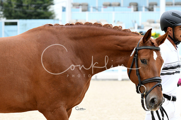 HSM_0938-1
