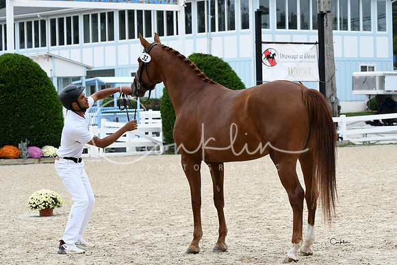 HSM_0913-1